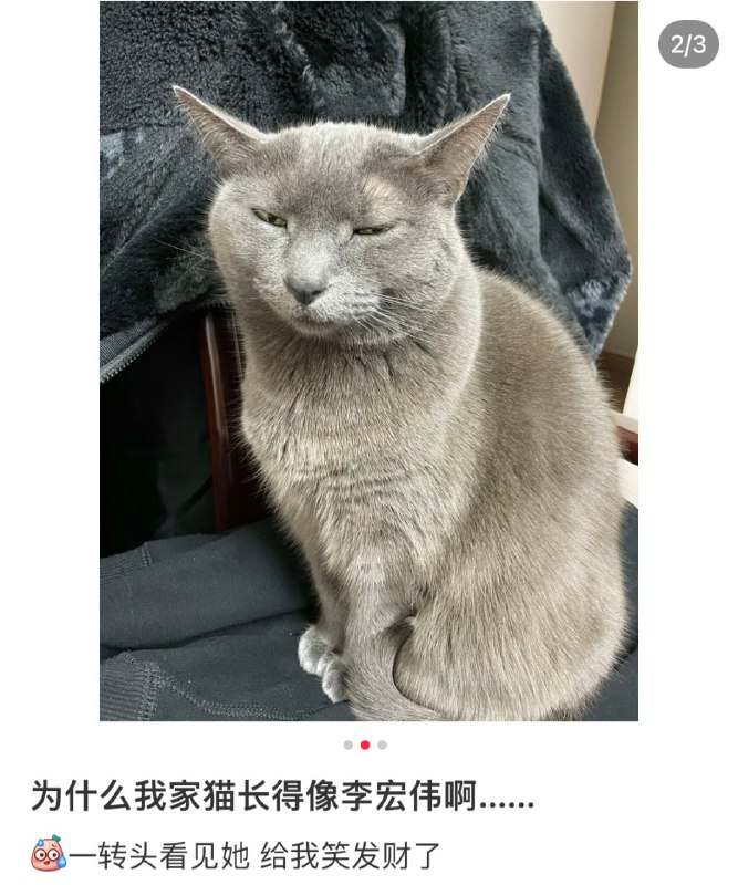 哪个是李宏伟啊？哪个是李宏伟啊？