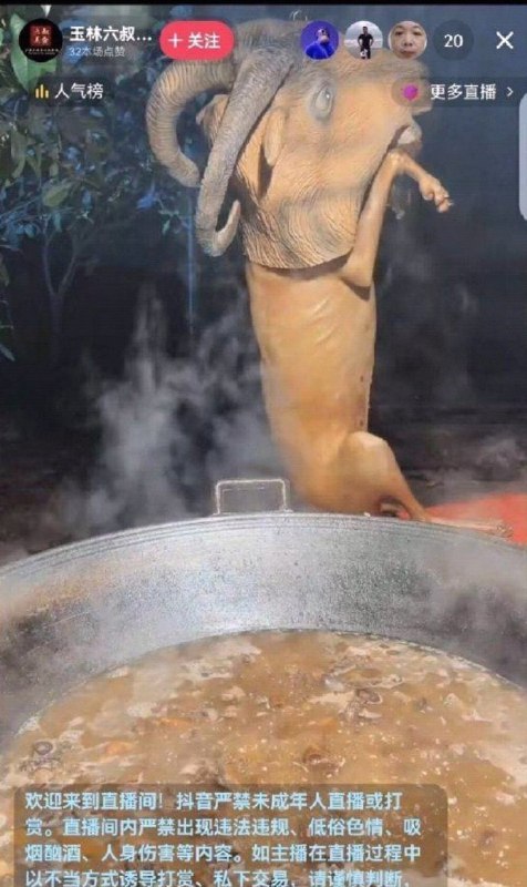 挂羊头卖狗肉