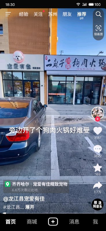 两家都爱狗🥰