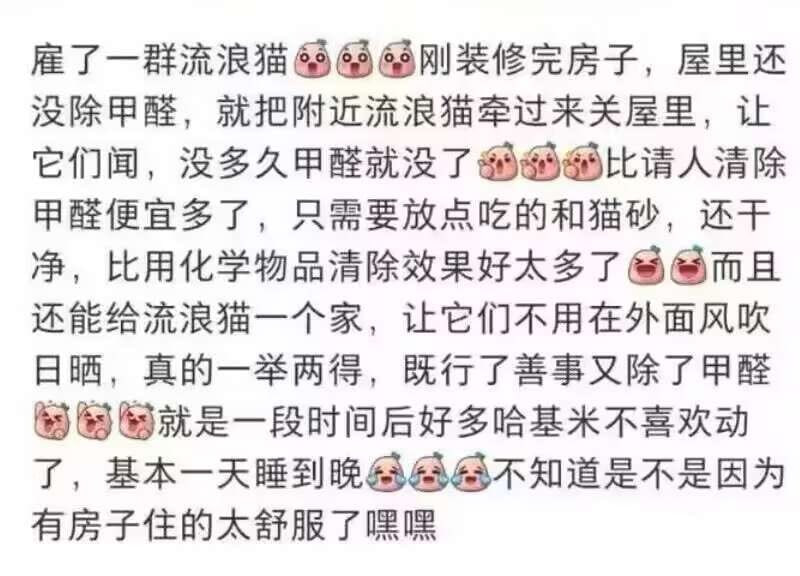 《善事》