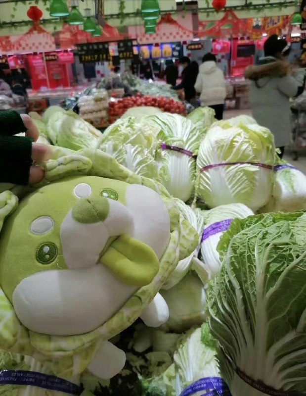 还有个充数的……还有个充数的……