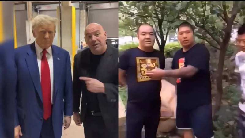 这位更是重量级