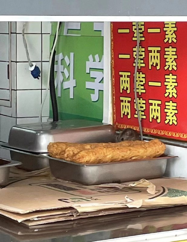 荤素搭配🤔