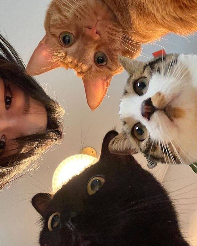 #猫猫