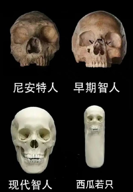 发过，再发一遍
