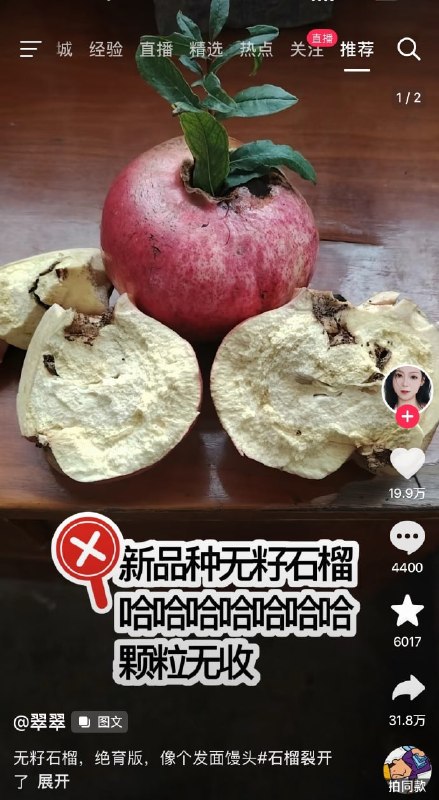 无籽…石榴……？😦无籽…石榴……？😦