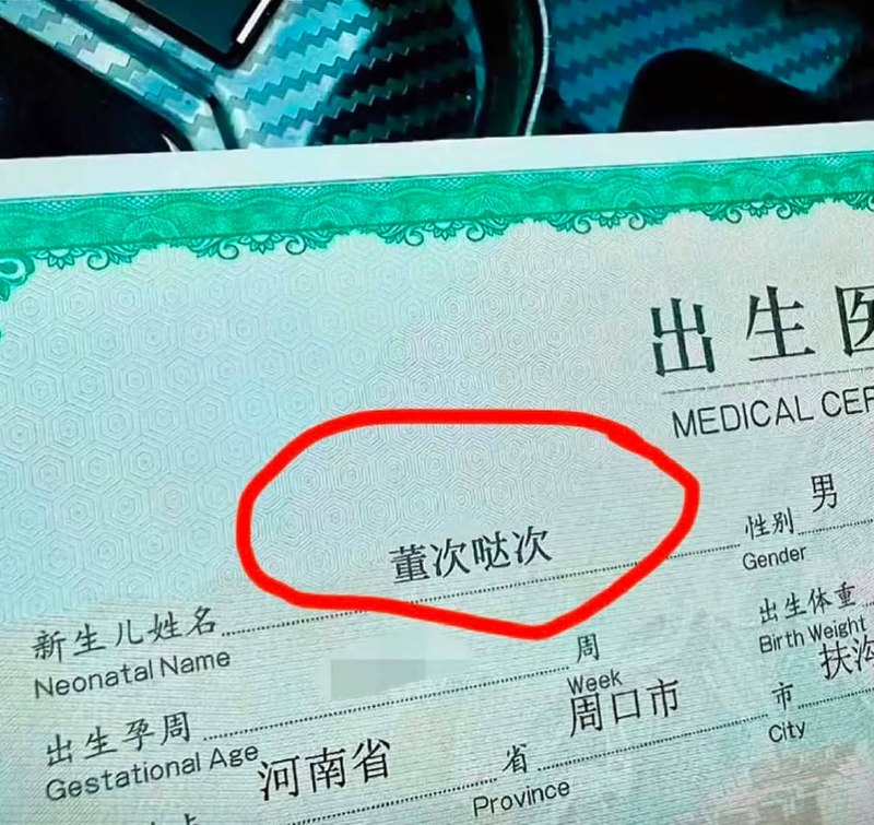 取名的艺术🤔取名的艺术🤔