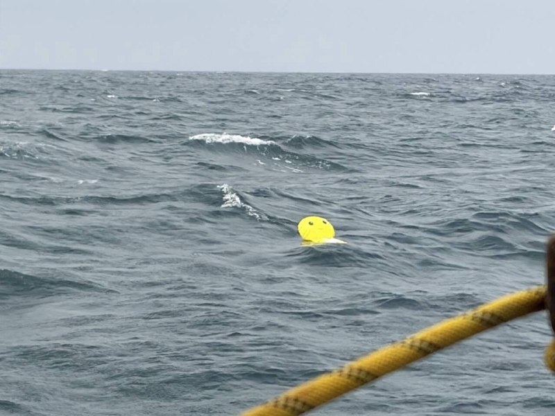 苏伊士运河里有只奶龙🙃苏伊士运河里有只奶龙🙃