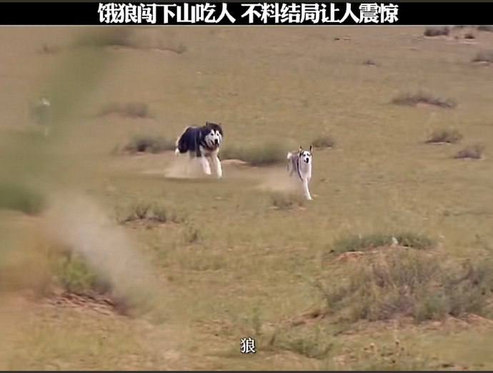震惊震惊