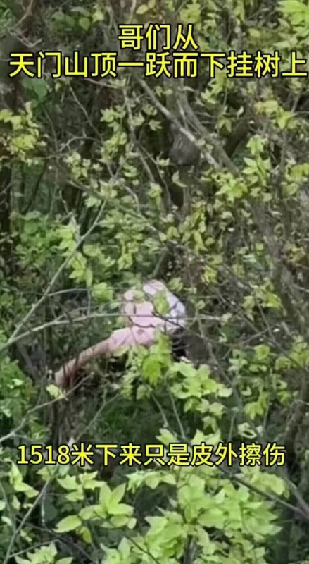 耐摔王耐摔王