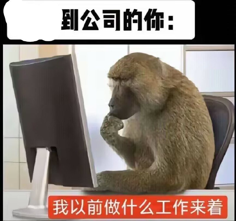 开工啦