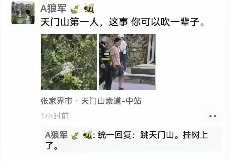 耐摔王耐摔王