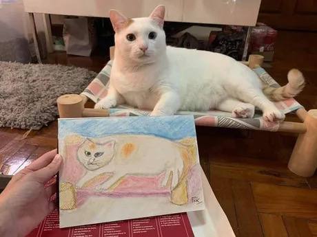 #猫猫
