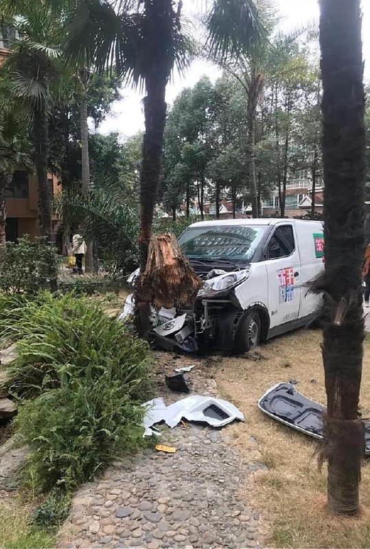毫无虚假宣传毫无虚假宣传