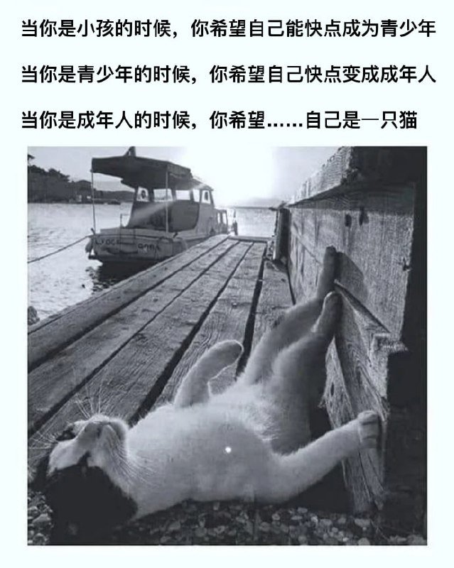确实