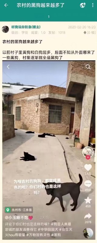 你最好是在说你们村😡