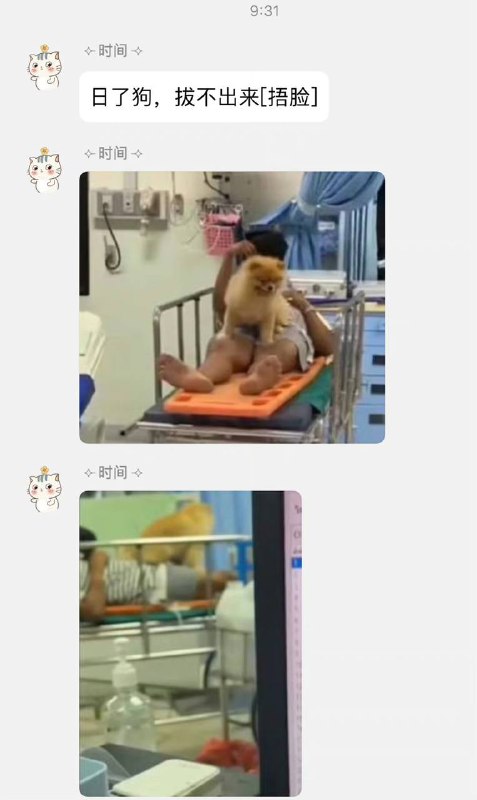 逆天逆天