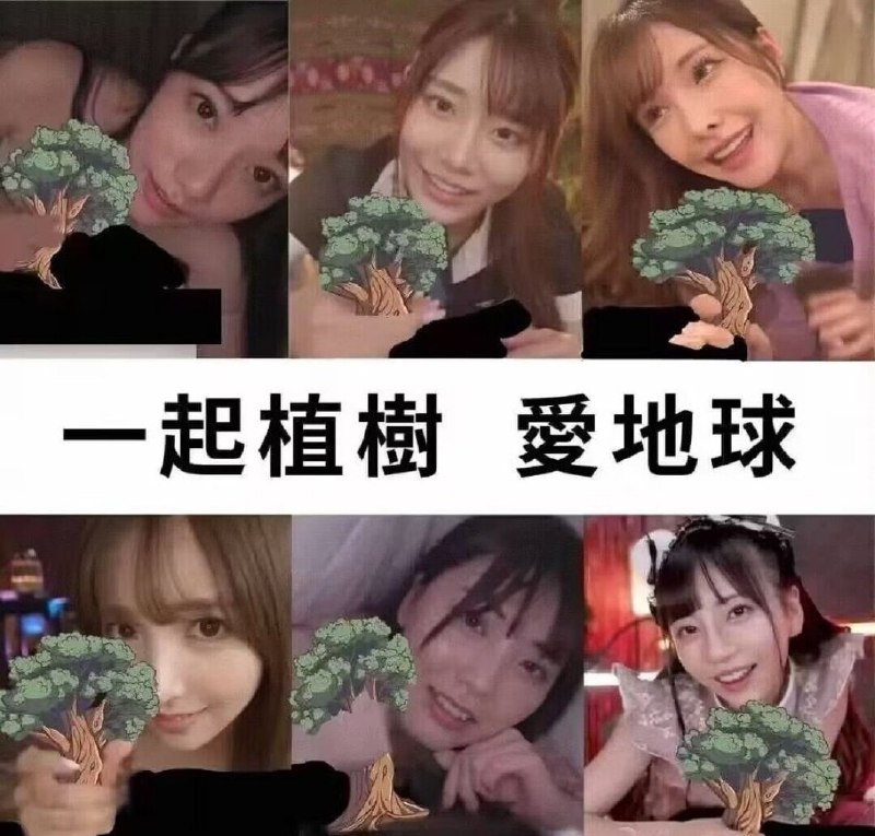 今天是植树节，大家一起植树！🥰