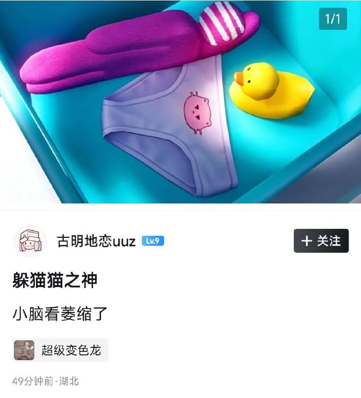 我嘞个紫色心情😅