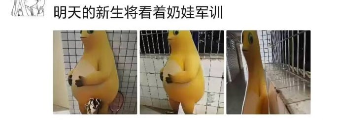 这谁绷得住啊……😅这谁绷得住啊……😅