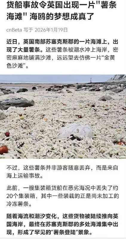 海鸥