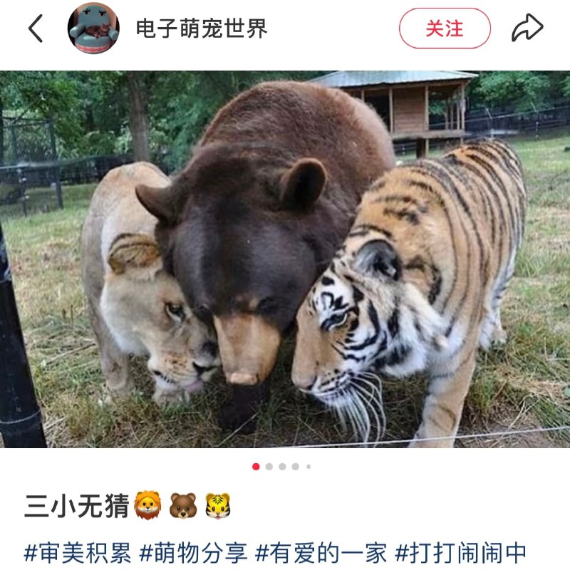 图7ps