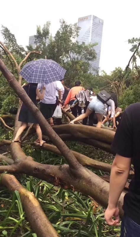 18年台风“山竹”时期，深圳打工人的上班途中