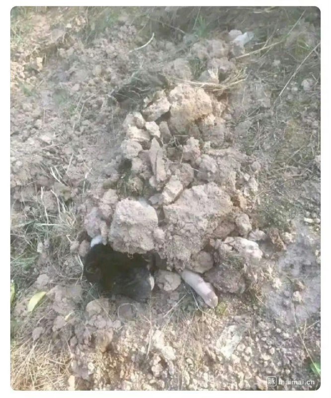 ？？