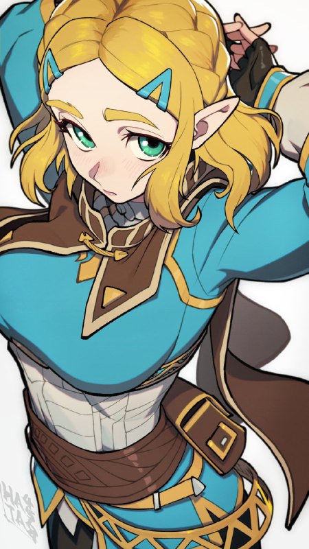 #塞尔达