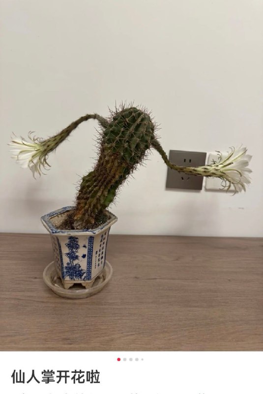 企图偷偷溜走