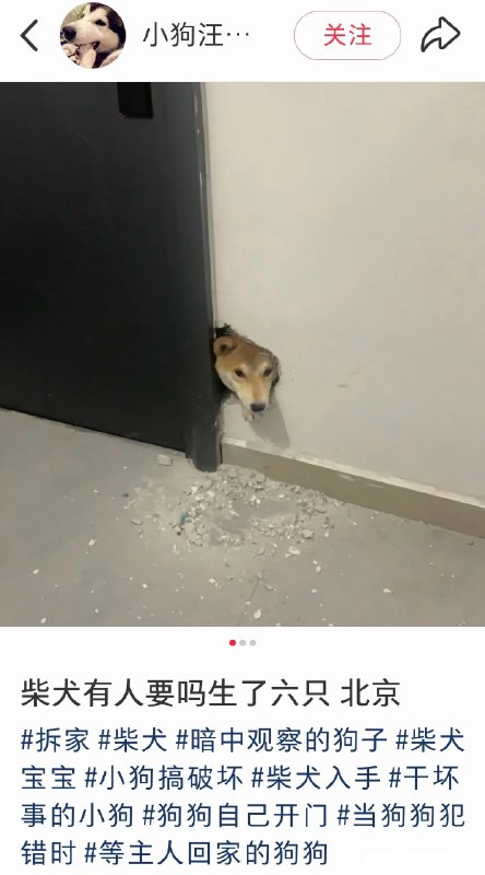 这谁敢要啊