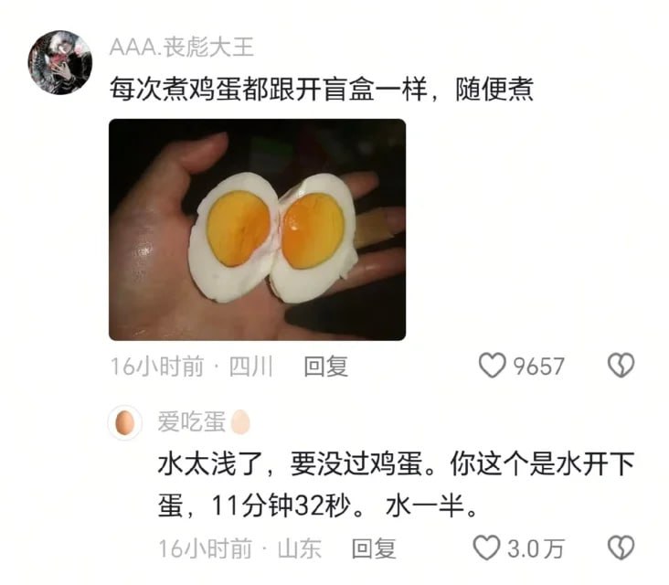煮蛋仙人煮蛋仙人