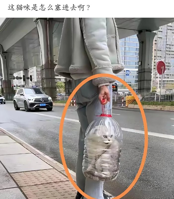 ？