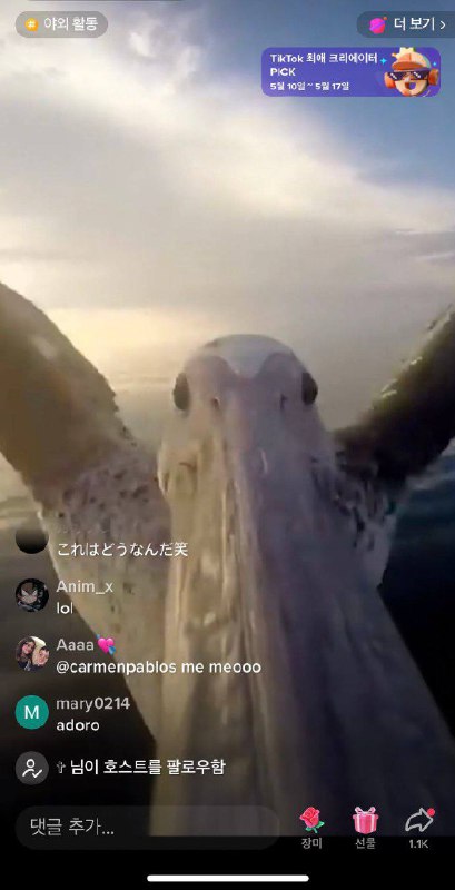 去码头整点手机去码头整点手机
