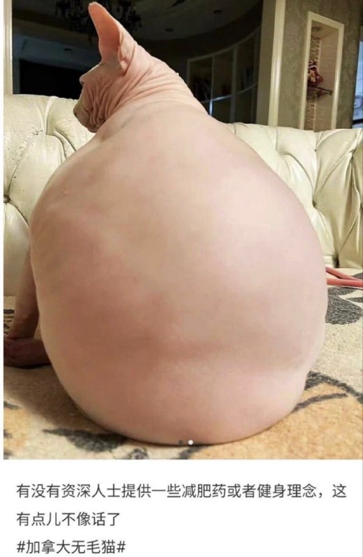 😧