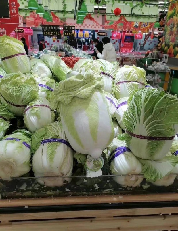 还有个充数的……还有个充数的……