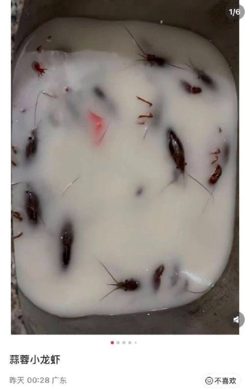 不愧是ip广东😨