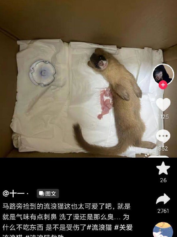 ？