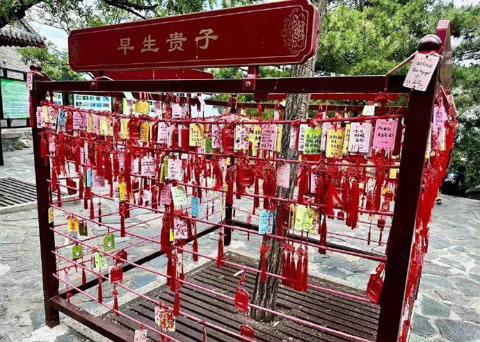 婚育下降可视化🤔️婚育下降可视化🤔️