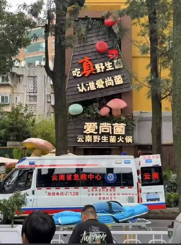 看来很正宗🌚