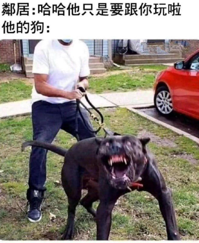 真实真实