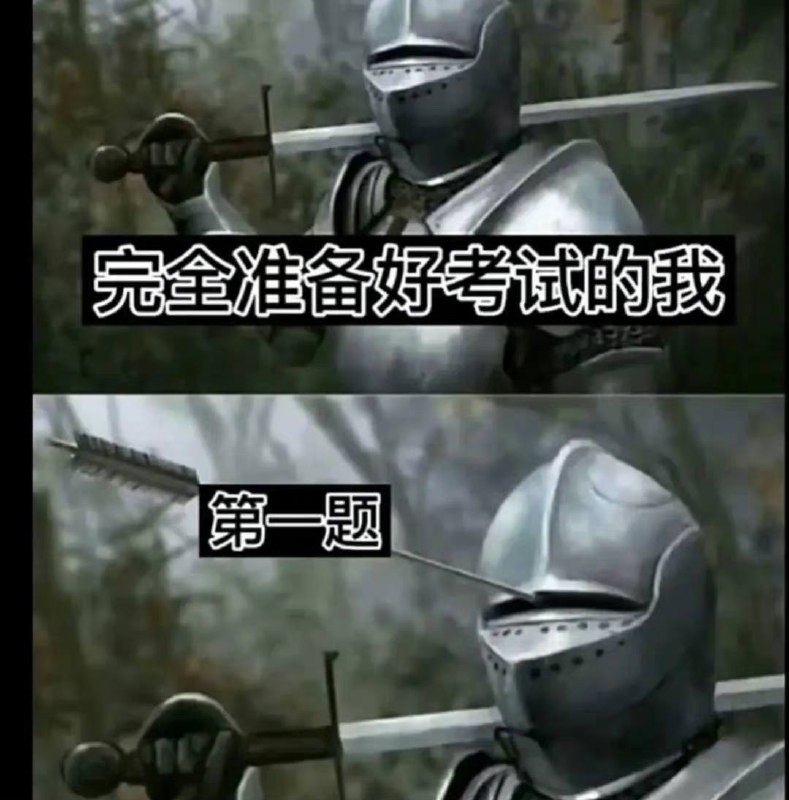 真实真实