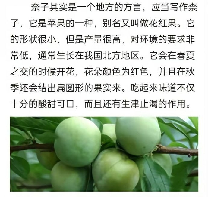 我爱吃水果