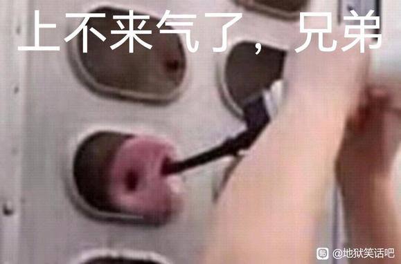 素食主义者给送往屠宰场的猪喂水素食主义者给送往屠宰场的猪喂水