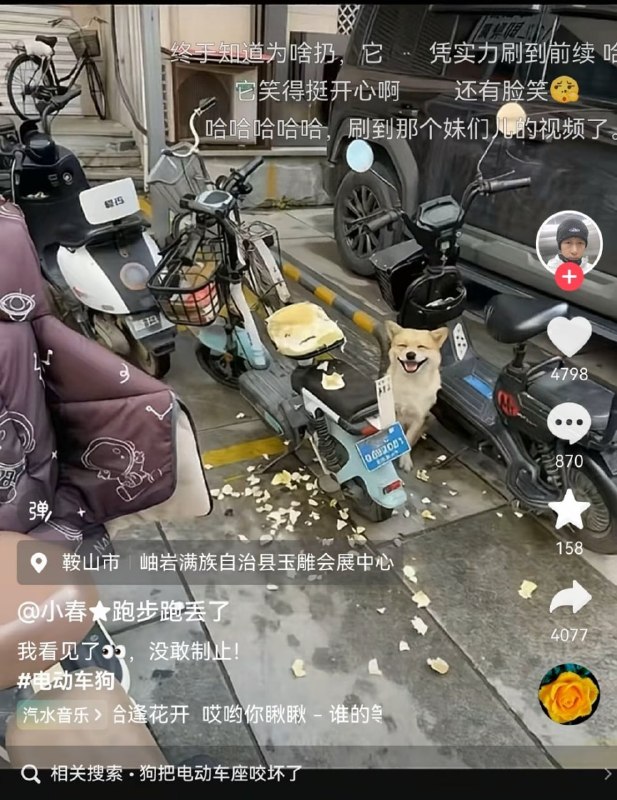 看它笑得多开心啊😁看它笑得多开心啊😁