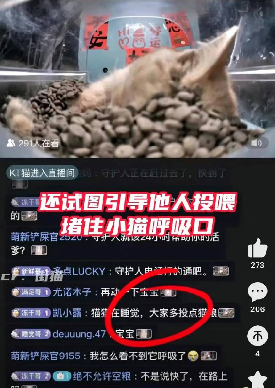 ？？