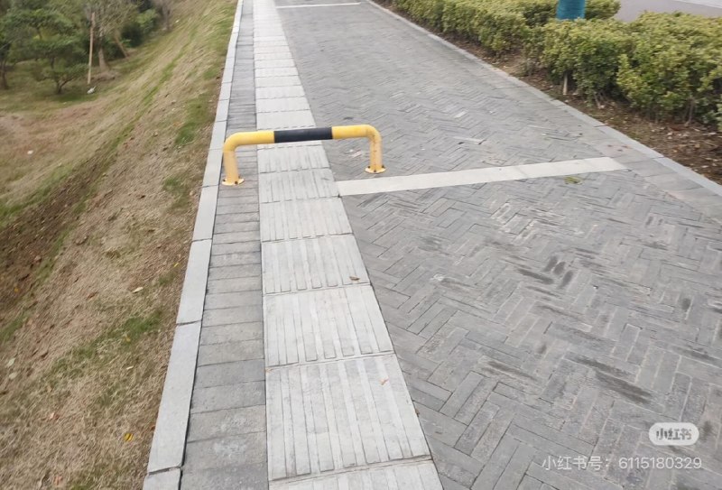 这盲道给我气笑了