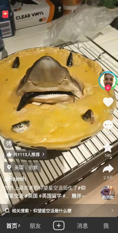 鲨鱼仰望星空派？👀鲨鱼仰望星空派？👀