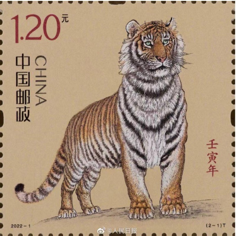 虎年生肖邮票来了！     1月5日，中国邮政《#壬寅年》虎生肖邮票将正式对外发行