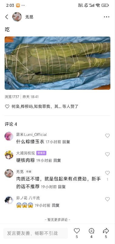 这是我们北方的粽子，看看你们南方的……